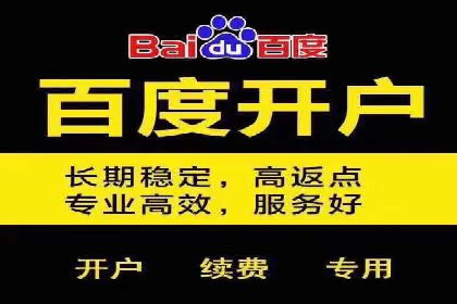 案例对比：SEO与SEM优化效果深度分析